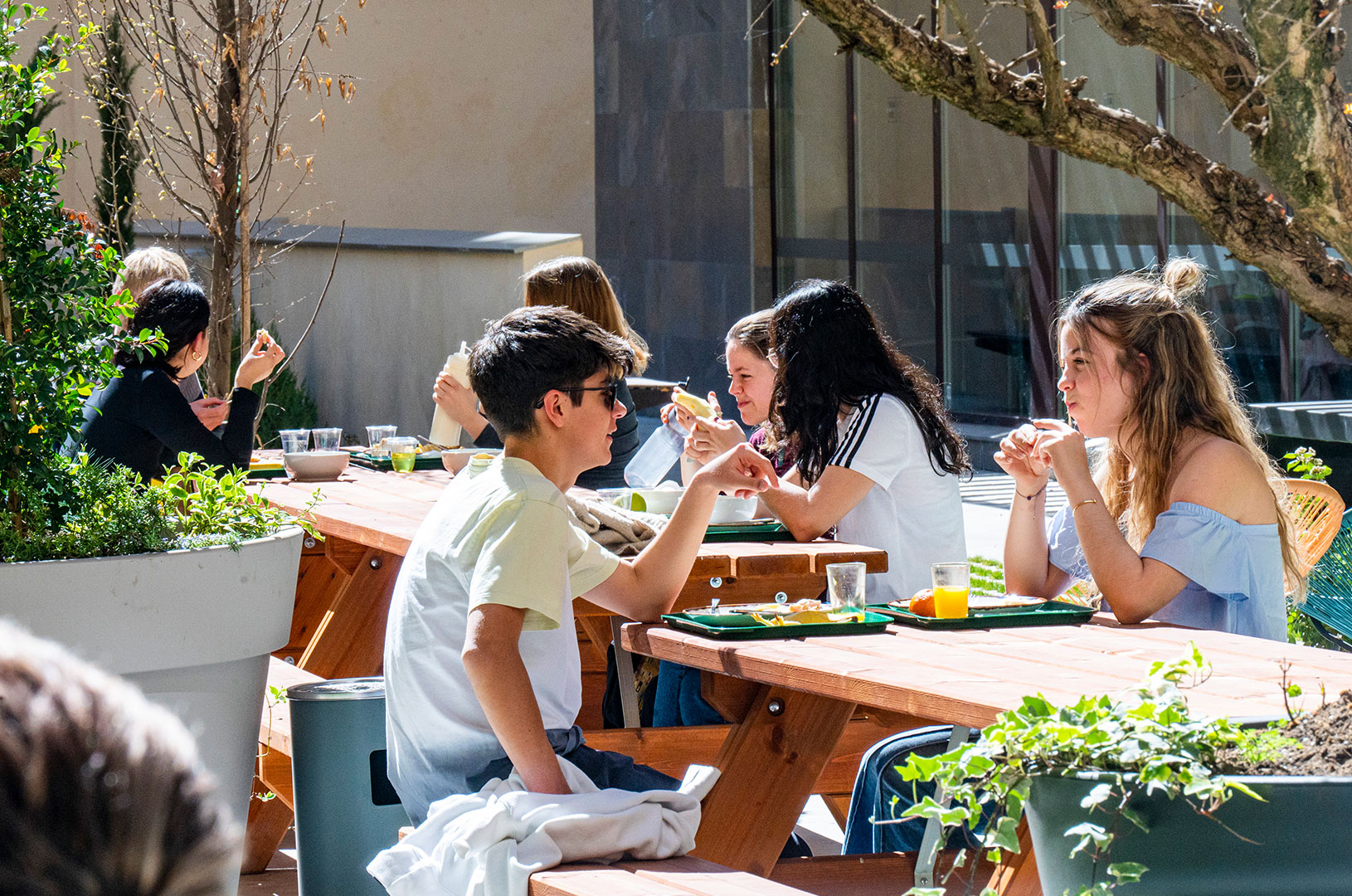 Bravo Students Zaragoza