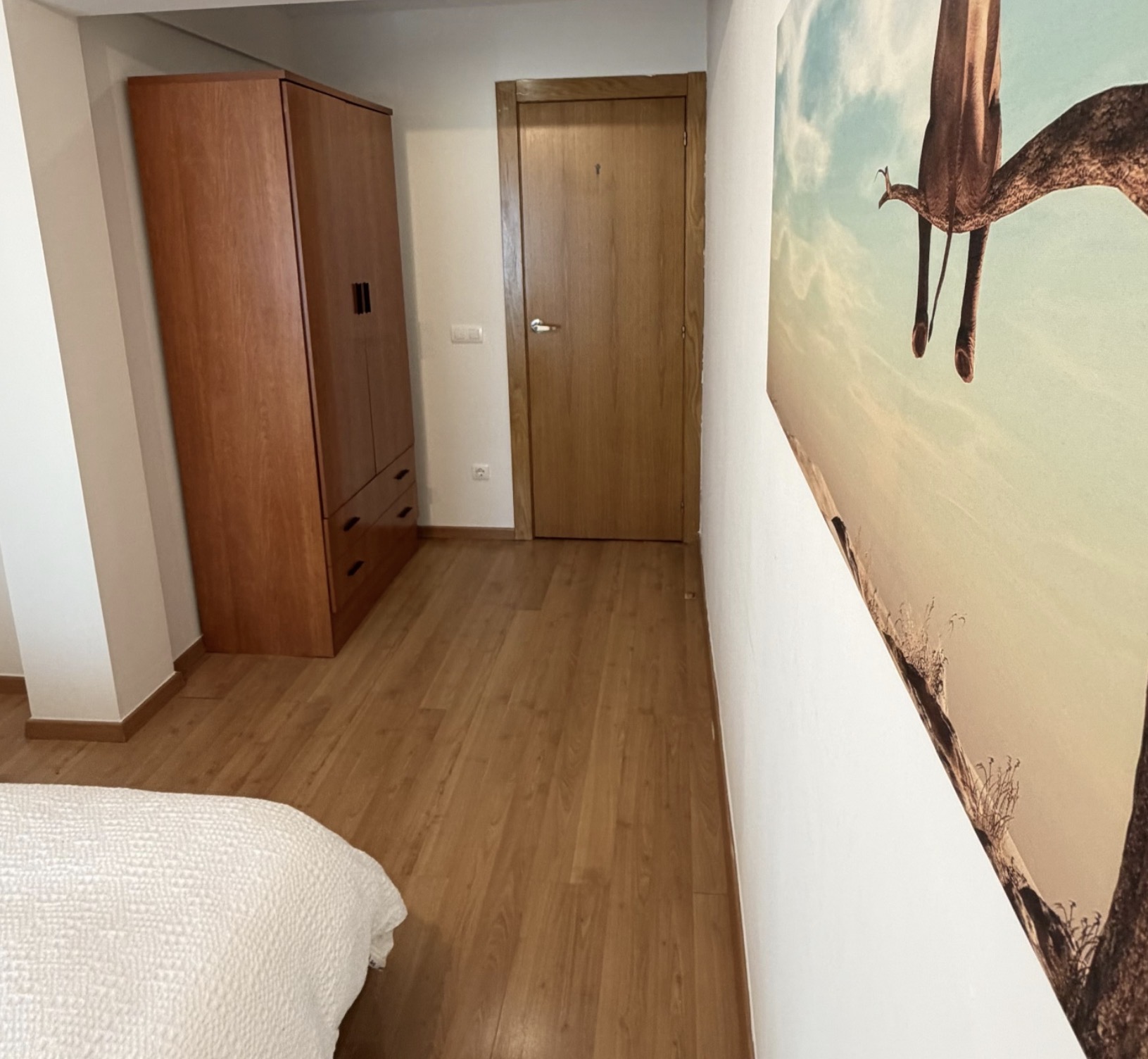 Coliving León 