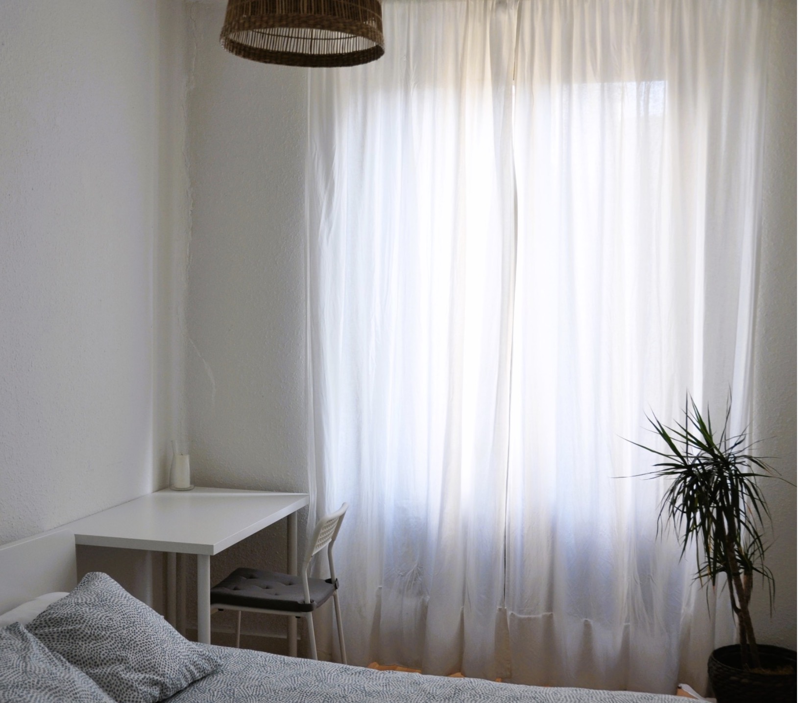 Coliving León 
